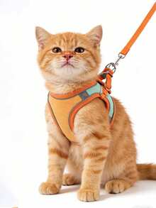 1 buah Set Tali Kucing Beludru Reflektif, Harness dan Tali Kucing, Harness Anak Kucing/Anjing, Reflektif, Bernapas, Anti Lepas, Set Jalan-jalan Kucing, Harness Hewan Peliharaan Kecil, Bahan Nyaman dan Ramah Kulit, Anti Lepas, Dapat Diatur, Reflektif untuk Keamanan - MultiWarna - View 11