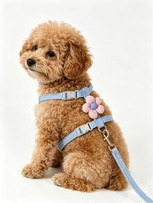 1 Set Cute Bee Design Pet Harness Set With Leash, Breathable Escape-Proof Vest, Suitable For Small Puppies And Kittens Outdoor Walking - Multicolor - View 7