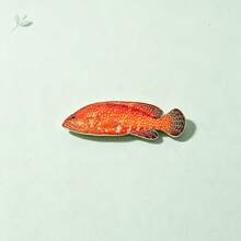 Leopard Coral Grouper Enamel Pin Fashion Decorative Badge Ornaments Lapel Bag Badges Gifts - Multicolor - View 4