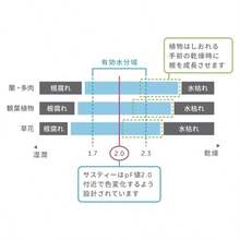 水やりチェッカー Lサイズ ホワイト 2本パック - ホワイト + M + 2本 - チェックする 7