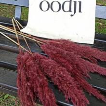 10pcs Artificial Pampas Grass Decorative Stems, Faux Reed Feather Bouquet. Pink Pampas Grass, Artificial Flowers. Bohemian Style Indoor Floral Decor, Wedding Vase, Bedroom Floor Arrangement Choice; Also Suitable As Faux Greenery, Birthday / Anniversary Gift, DIY Wreath Accessory, Banquet Party Scene Decoration, Florist Floral Material. - Burgundy - View 5