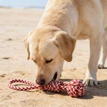 Large Dog Chew And Tug Toy | Thickened Wide Braided Rope Ball With Red Striped Fabric Cover | Suitable For Puppies And Adult Dogs | High-Strength Interactive Tug-Of-War Training Toy - Multicolor - View 12