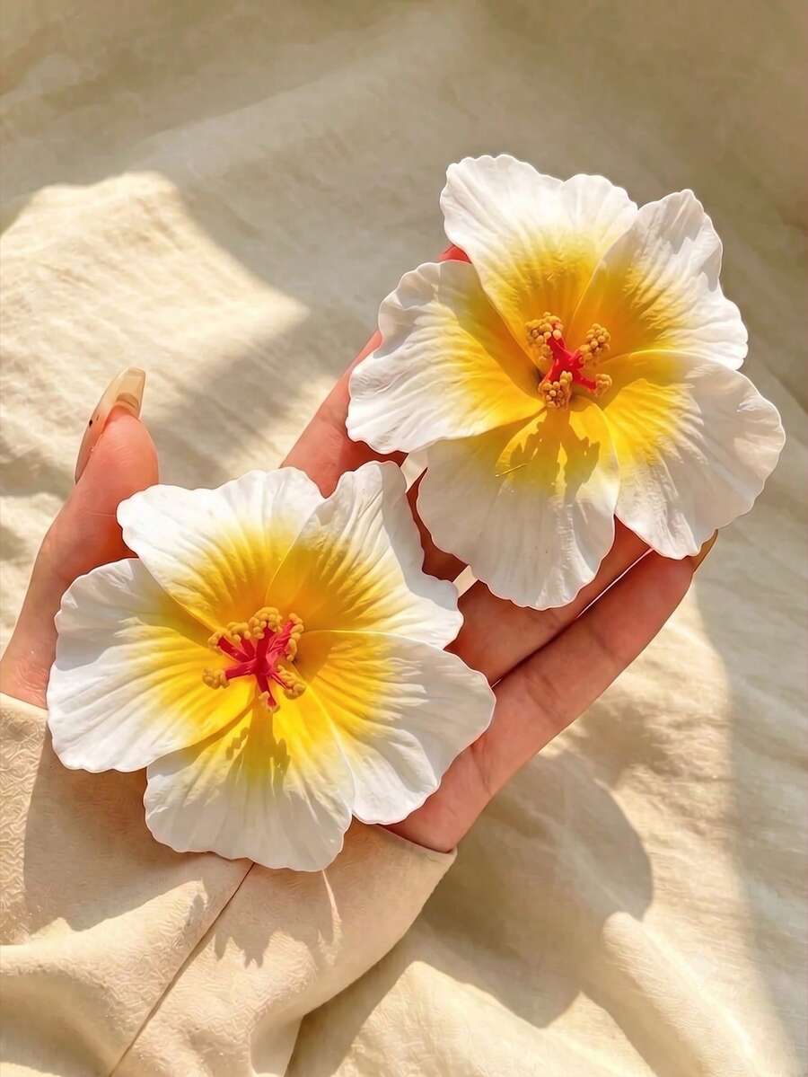 2件組夏威夷木槿花髮夾，黃色漸層熱帶海灘 Luau 派對女性髮飾