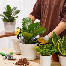 6-Pack White Plastic Plant Pots, 7 Inch Flower Pots With Trays For Indoor Plants - A - View 3