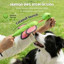 Dog Spring-Loaded Flying Insect Toy, Oxford Fabric Interactive Squeaky Chew Toy, Pet Fun Throw Toy - Green - View 3