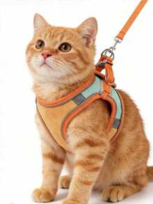 1 buah Set Tali Kucing Beludru Reflektif, Harness dan Tali Kucing, Harness Anak Kucing/Anjing, Reflektif, Bernapas, Anti Lepas, Set Jalan-jalan Kucing, Harness Hewan Peliharaan Kecil, Bahan Nyaman dan Ramah Kulit, Anti Lepas, Dapat Diatur, Reflektif untuk Keamanan - MultiWarna - View 10
