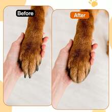 Dog Nail File With Replaceable Filing Disc Dog Nail File Scratch Board Replaceable Sandpaper Stress Free Nails Filing Dogs Training Accessories For Smooth And Healthy Nails - View 3