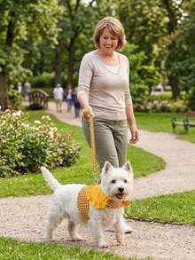 1 Set Adjustable Plaid Dog Harness Set, Anti-Pull/Anti-Choke, Cute Yellow/Green Cat & Dog Harness Dress, Dog Supplies, Dog Leash, Suitable For Small To Medium Dogs, Hook And Loop Design, Perfect For Outdoor Walks, Park Play And Photos - Multicolor - View 7