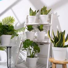 6-Pack White Plastic Plant Pots, 7 Inch Flower Pots With Trays For Indoor Plants - A - View 6