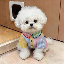 1pc Pet Shirt, Casual Comfortable Breathable, Spring/Summer Cat & Dog Clothes, Suitable For Teddy Poodle And Other Small Pets - Multicolor - View 6