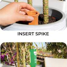 2pcs Clay Vacation Plant Watering Spikes, Wine Bottle Watering Stakes, Slow Release Plant Watering Nails, Automatic Watering Device For Indoor And Outdoor Plants - Multicolor - View 5