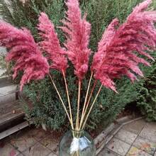 10pcs Artificial Pampas Grass Decorative Stems, Faux Reed Feather Bouquet. Pink Pampas Grass, Artificial Flowers. Bohemian Style Indoor Floral Decor, Wedding Vase, Bedroom Floor Arrangement Choice; Also Suitable As Faux Greenery, Birthday / Anniversary Gift, DIY Wreath Accessory, Banquet Party Scene Decoration, Florist Floral Material. - Burgundy - View 7