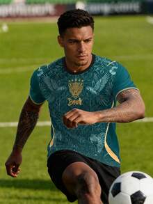 Jersey Sepak Bola Pria Brasil Kustom Personalisasi & Motif Leopard Brasil Ringan Lembut & Cocok untuk Pertandingan, Latihan, Pakaian Kasual & Hadiah & Bintang - Hijau - View 8