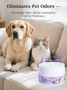 GJYC PET Pet Odor Removal Gel, Lavender Scent - Plant-Based Deodorizer, Long-Lasting Freshness Up To 60 Days, Suitable For Cat And Dog Areas, Powerful Home Deodorizer - 60g (2.12 Oz) - View 3