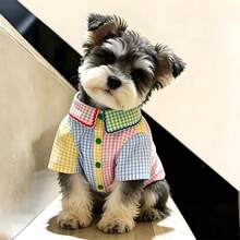 1pc Pet Shirt, Casual Comfortable Breathable, Spring/Summer Cat & Dog Clothes, Suitable For Teddy Poodle And Other Small Pets - Multicolor - View 4