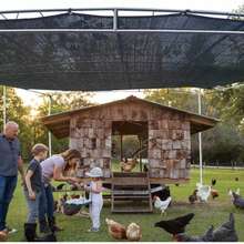Grommet Garden Shade Cloth, 80%-90% UV Protection Shade Net, Heavy Duty Sunscreen Mesh, Suitable For Plants, Greenhouse, Patio, Gazebo, Outdoor Garden - Black - View 5