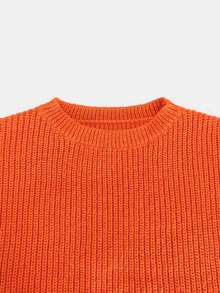 Women's Round Neck Orange Ribbed Long Sleeve Cropped Knit Top, Casual Street Style, Suitable For Autumn/Winter, Holiday Dates And Commuting, Versatile - Burnt Orange - View 6