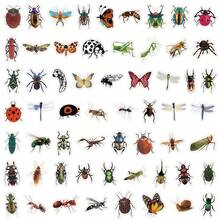 60PCS Insect Stickers Pack | Beautiful Pattern Stickers, High Quality Stickers Water Bottles, Decorative Paper, Journaling, Laptop, Bumper, Skateboard, Scrapbook, Suitcase, Refrigerator, Plan Book, Keyboard, Car Sticker - Insect - View 3