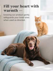 GJYC PET Pet Odor Removal Gel, Lavender Scent - Plant-Based Deodorizer, Long-Lasting Freshness Up To 60 Days, Suitable For Cat And Dog Areas, Powerful Home Deodorizer - 60g (2.12 Oz) - View 7