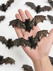 6pcs Halloween 3D Bat Wall Stickers, Realistic Flying Bat Wing Design Wall Decals, Vintage Gothic Horror Style Wall Decor, Removable Bat Decorations, Suitable For Home Walls, Windows, Doors, Halloween Party Background Decoration, Haunted House Decoration - A - View 4