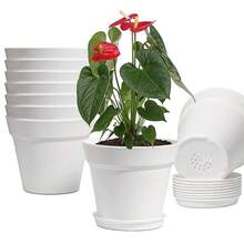 6-Pack White Plastic Plant Pots, 7 Inch Flower Pots With Trays For Indoor Plants - A - View 10