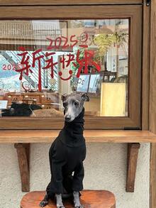 Italian Greyhound Whippet 4-Legged Fashion Solid Color Fleece Sweatshirt For Medium And Large Dogs, Soft And Comfortable, Elastic, Autumn/Winter Home Wear - Black - View 3