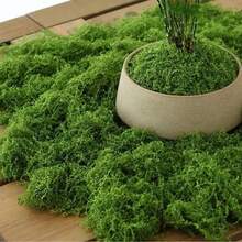 20-500g Artificial Moss Lawn, Realistic Faux Moss, Fake Moss Micro Landscape Arrangement, Lifelike Green Plant Lawn, Suitable For Micro Landscape, Green Plant Lawn, Potted Plant Window Sill Decoration, Landscape Design, Handmade DIY And Home Decor - Multiple Styles - View 7