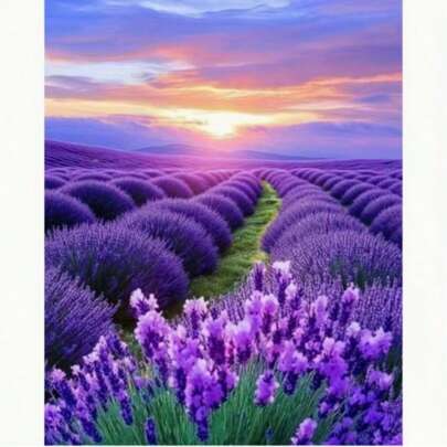 Lavender Farm 1pc Diamond Art DIY, Mosaic Craft, Full Round Diamond Pattern Luxury Diamond Painting, Suitable For Desktop Decoration, Handicraft Kit, Home Decor Gift, Unique Design, Handmade Gift, Holiday Party, Diamond Painting Kit