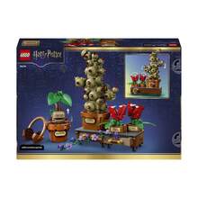 LEGO HARRY POTTER PFLANZE FÜR DIE BOTANIKSTUNDE IN HOGWARTS 76474 - Verschiedenfarbig - Übersicht 3