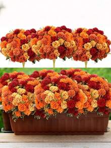 1/4pcs 6-Prong Spherical Artificial Chrysanthemum, For Room Decoration, Autumn Decoration, Thanksgiving, Halloween Decoration, Home Decor, Wedding, Porch, Farmhouse Style, DIY Autumn Decoration, Artificial Plants, Office, Living Room Decoration, Tabletop Decoration, Fake Flowers, Artificial Flower, Fake Plant, Fall Decor, Gifts For Women, Birthday Gift. - Multicolor - View 9
