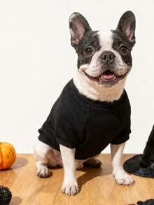 LUCKIE PAW 1 buah Rompi Hewan Peliharaan Motif Tengkorak Halloween Lucu, Pencegahan Kutu Fisik, Mengurangi Kerontokan Bulu, Terisolasi & Bernapas, Cocok Untuk Anjing dan Kucing Kecil dan Besar, Penggunaan Dalam dan Luar Ruangan - Hitam - View 3
