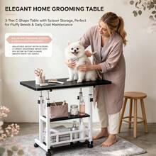 Pet Grooming - View 19