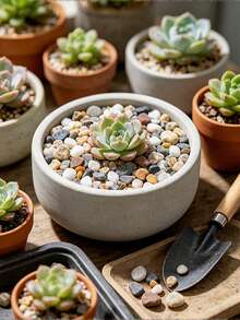 Natural River Stone Mixed Color Pebbles Aquarium Bottom Sand Small Garden Stones Soil Cover, Suitable For Fish Tank, Landscape, Vase Filler, Succulents, Air Plants, Cactus, Terrarium Plants - View 7