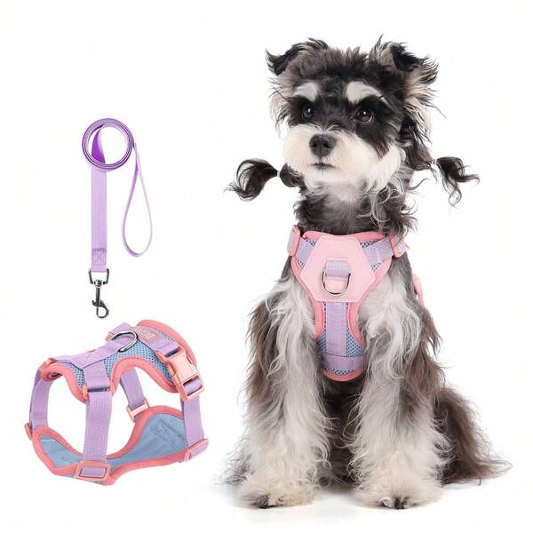 Adjustable Breathable Mesh Dog Harness And Leash Set, Anti-Pull Anti-Escape Pet Walking Vest, Macaron Pink And Purple Color Leash Set, Suitable For Mini Schnauzer, Yorkshire Terrier, Chihuahua, Pomeranian Small And Medium Puppies Outdoor Use