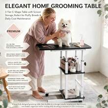 Pet Grooming - View 15