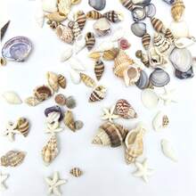 約 1000 個小貝殼，混合貝殼與海星海洋海灘螺旋貝殼，適用於海灘派對、魚缸與花瓶填充、婚禮裝飾、DIY 珠寶、蠟燭製作、美甲藝術 - 套裝 - 查看 3