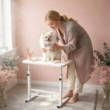 Pet Grooming - View 18