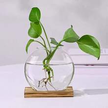 2pcs Desktop Round Glass Planter With Wooden Stand, Suitable For Small Hydroponic Plant Propagation, Home Office Decor, Brown Home Decor Room Decoration Glass Vase - 1PC - View 8