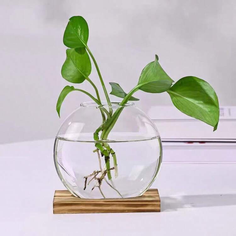 2件組桌面圓形玻璃花盆附木製底座，適合小型水培植物繁殖，居家辦公室裝飾，棕色家居室內裝飾玻璃花瓶 - 1PC - 查看 7