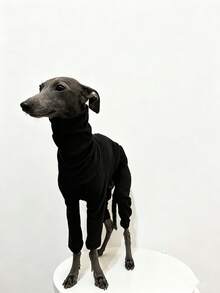 Italian Greyhound Whippet 4-Legged Fashion Solid Color Fleece Sweatshirt For Medium And Large Dogs, Soft And Comfortable, Elastic, Autumn/Winter Home Wear - Black - View 13