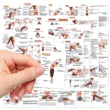 41pcs Yoga Pose Cards, Beginner's Guide For Men & Women - Fitness & Stretching Instructions, With Basic Practice Set. Perfect Gift For Newbies Or Instructors, Practice Flash Cards, Yoga Pose Illustrated Cards, Pilates Exercise Diagrams - Multicolor - View 11