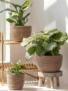 Nordic Style New Woven Straw Planter Pot Cover DIY Storage Decorative Potted Plant Flower Pot Set Suitable For Living Room Balcony Study - A - View 3