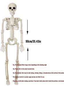 36 Inch Realistic Halloween Skeleton With Fully Posable Joints, Perfect For Indoor, Outdoor, Garden, Home Party, Cemetery And Haunted House Prop Decoration - Multicolor - View 10
