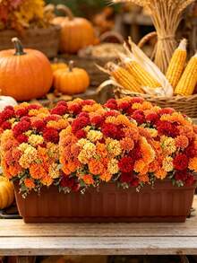 1/4pcs 6-Prong Spherical Artificial Chrysanthemum, For Room Decoration, Autumn Decoration, Thanksgiving, Halloween Decoration, Home Decor, Wedding, Porch, Farmhouse Style, DIY Autumn Decoration, Artificial Plants, Office, Living Room Decoration, Tabletop Decoration, Fake Flowers, Artificial Flower, Fake Plant, Fall Decor, Gifts For Women, Birthday Gift. - Multicolor - View 5