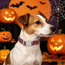 Daily Walking Polyester Adjustable Dog Collar Small Medium Large Dogs, Black Pumpkin Ghost Heart Halloween Print Collar, Reliable Quick Buckle & Rustproof D Ring, Chic Holiday Collar For Indoor Costume Parties & Outdoor Fall Pet Activities - Black - View 3