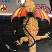 Adjustable Bat Wing Harness Leash For Reptiles, Includes 3 Sizes Base Plates, Bearded Dragon Harness And Leash Set, Suitable For Bearded Dragon, Lizard Reptile Clothing, Reptile Harness, Outdoor Walking And Training Gear, Halloween Reptile And Small Animal Gift - View 6