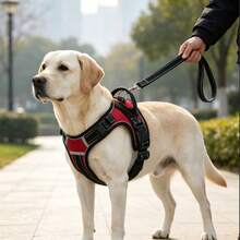 1 Peça Colete para Cachorro com Estojo Protetor AirTag, Suporte Oculto Integrado para AirTag, Colete Ajustável Reflexivo, Adequado para Cães de Pequeno a Grande Porte, Não Inclui Rastreador AirTag ou Guia - Multicolorido - Visão 9