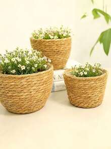 Nordic Style New Woven Straw Planter Pot Cover DIY Storage Decorative Potted Plant Flower Pot Set Suitable For Living Room Balcony Study - A - View 4