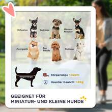 Hundebuggy mit Klappfunktion, Haustierwagen für kleine Hunde und Katzen, Haustierkarren, Katzenbuggy, Oxford Blau, 67 x 45 x 96 cm, vor Ort - Rot + Oxford-Gewebe - Übersicht 4