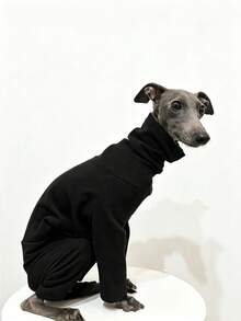 Italian Greyhound Whippet 4-Legged Fashion Solid Color Fleece Sweatshirt For Medium And Large Dogs, Soft And Comfortable, Elastic, Autumn/Winter Home Wear - Black - View 6